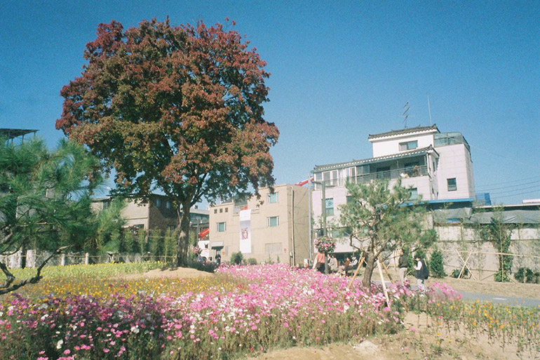 地図には推しの「聖地」でピンがいっぱい　2週間の初韓国