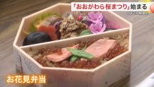 おおがわら桜まつり始まる 開花まであと少し お花見弁当や露店がおもてなし ３日ごろ咲き始めか〈宮城〉