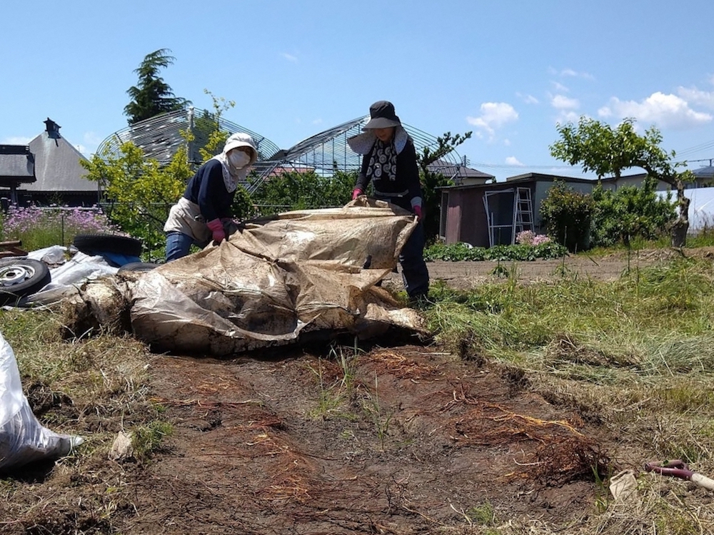 山形県天童市・移住者インタビュー／添うことで見つけた場所「たかだまラボ」菅生 鈴さん