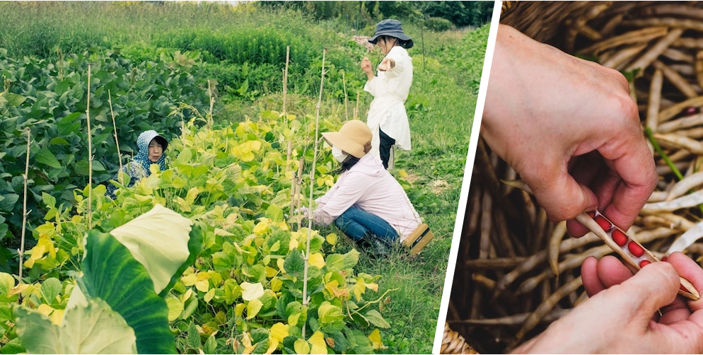 山形県天童市・移住者インタビュー／添うことで見つけた場所「たかだまラボ」菅生 鈴さん