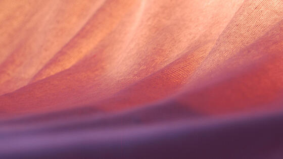 バッテリーで発熱する撥水性を持った綿織物を開発 インド|インド科学技術ニュース|Science Portal India インドの科学技術の今を伝える