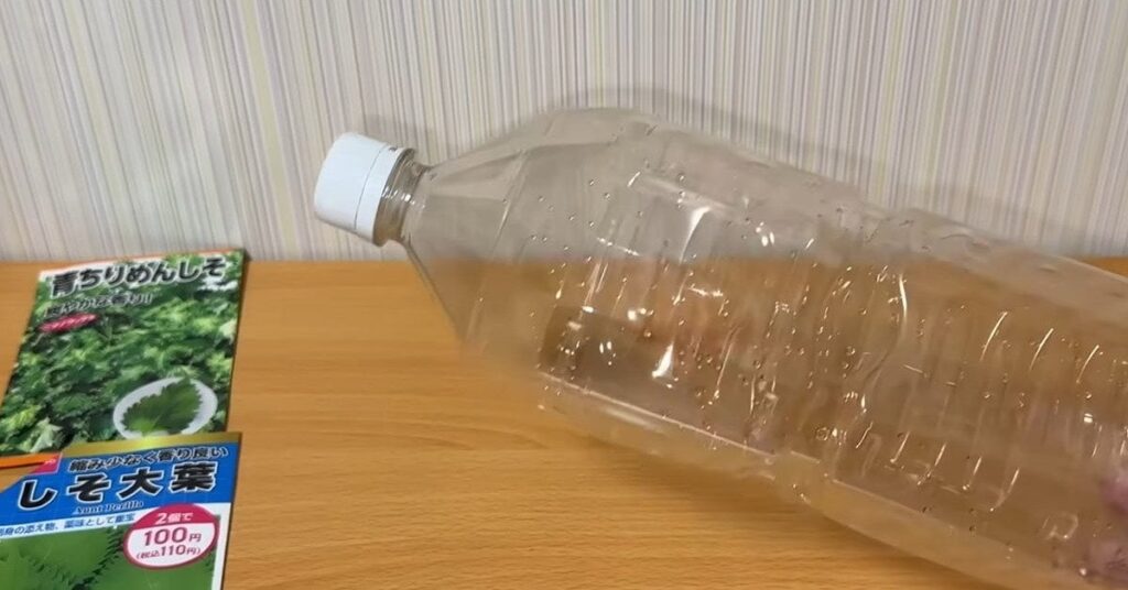 「もう◯ソは買わない」　ペットボトルに種をまいて1年後……　“食べ切れないほど”の大収穫に「今年はこれで育てます！」