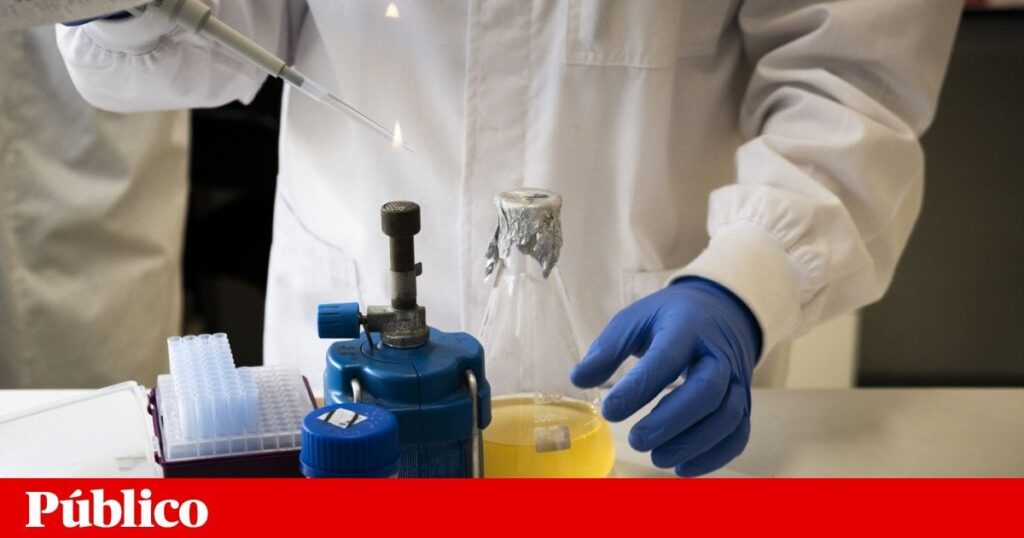 ポルトガルの大学は、米国の科学者を引き付けるためにヨーロッパのプログラムの作成を提唱しています