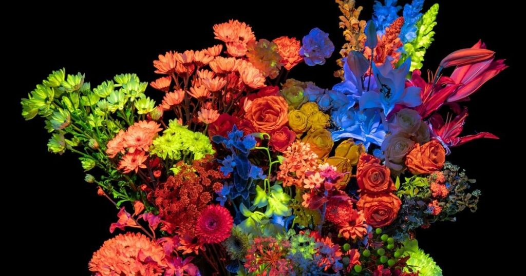 暗闇で鮮やかに光る花 DIC、染色技術を2026年商用化へ