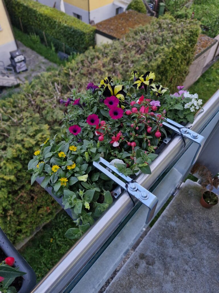 Migrosからこれらの花を購入しましたが、初めてです。説明には2つの質問があります。