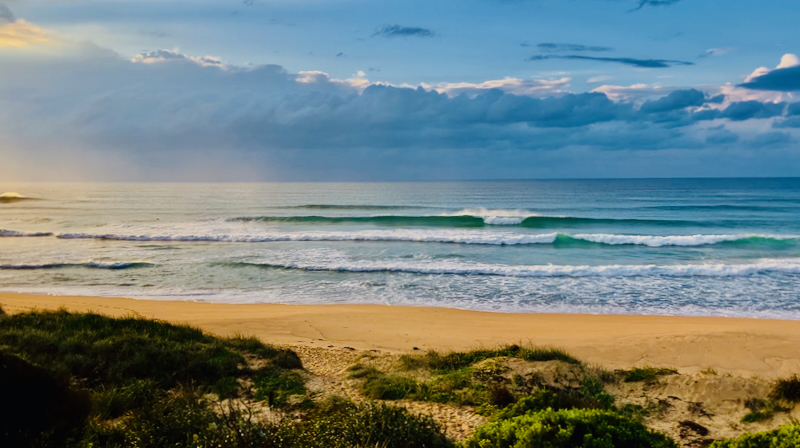 スクリーンショット 2025-05-18 3.30.48