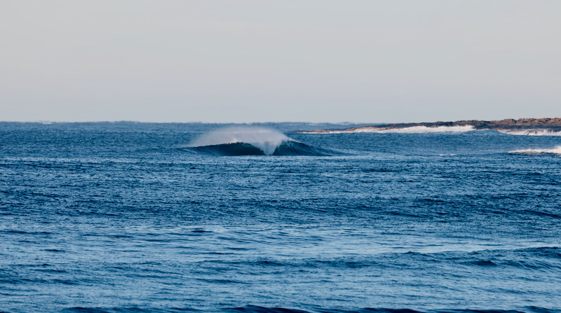 スクリーンショット 2025-05-10 3.54.44