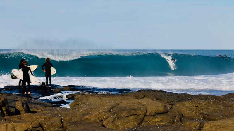 スクリーンショット 2025-05-26 14.00.19