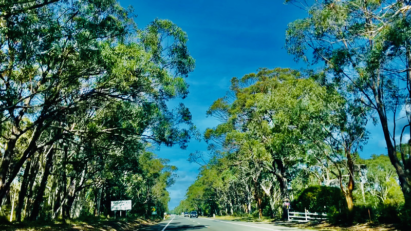 スクリーンショット 2025-05-09 10.59.54