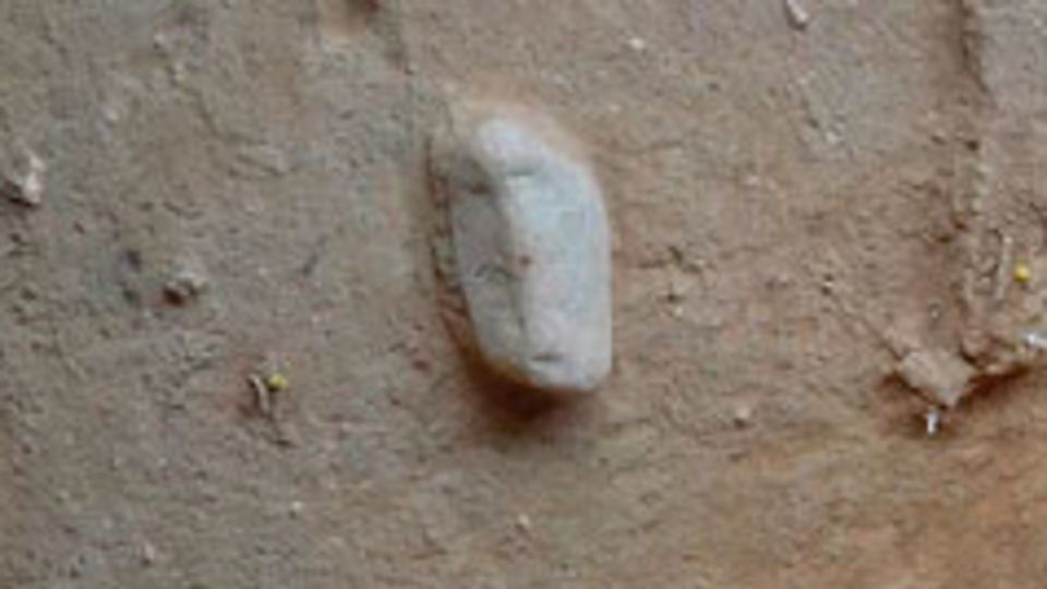 研究者らも学生も、石を一目見たときから「顔に見える」と思っていたという/Herrero, A. et al./Springer Nature