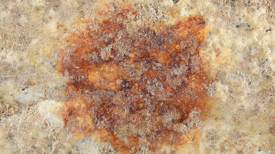 赤い点の拡大画像。石に付着した年代は4万3000年前で、ホミニン(ヒト族)の完全な指紋としては最古のものとなる可能性がある/Herrero, A. et al./Springer Nature