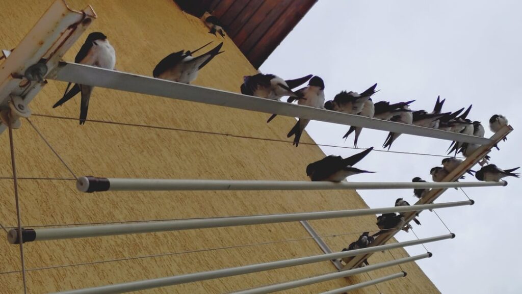 今私のテラスに！