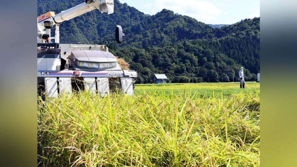 コメ１３２袋、奈良の倉庫から盗んだ疑い…無職の３０歳逮捕「生活に困り転売目的だった」