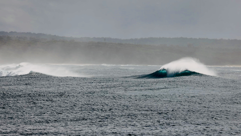 スクリーンショット 2025-05-22 5.35.13
