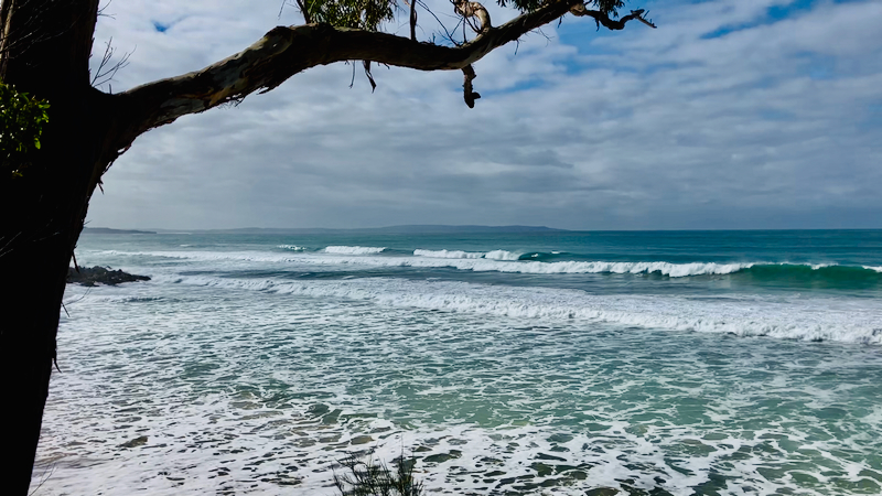 スクリーンショット 2025-05-30 4.11.54