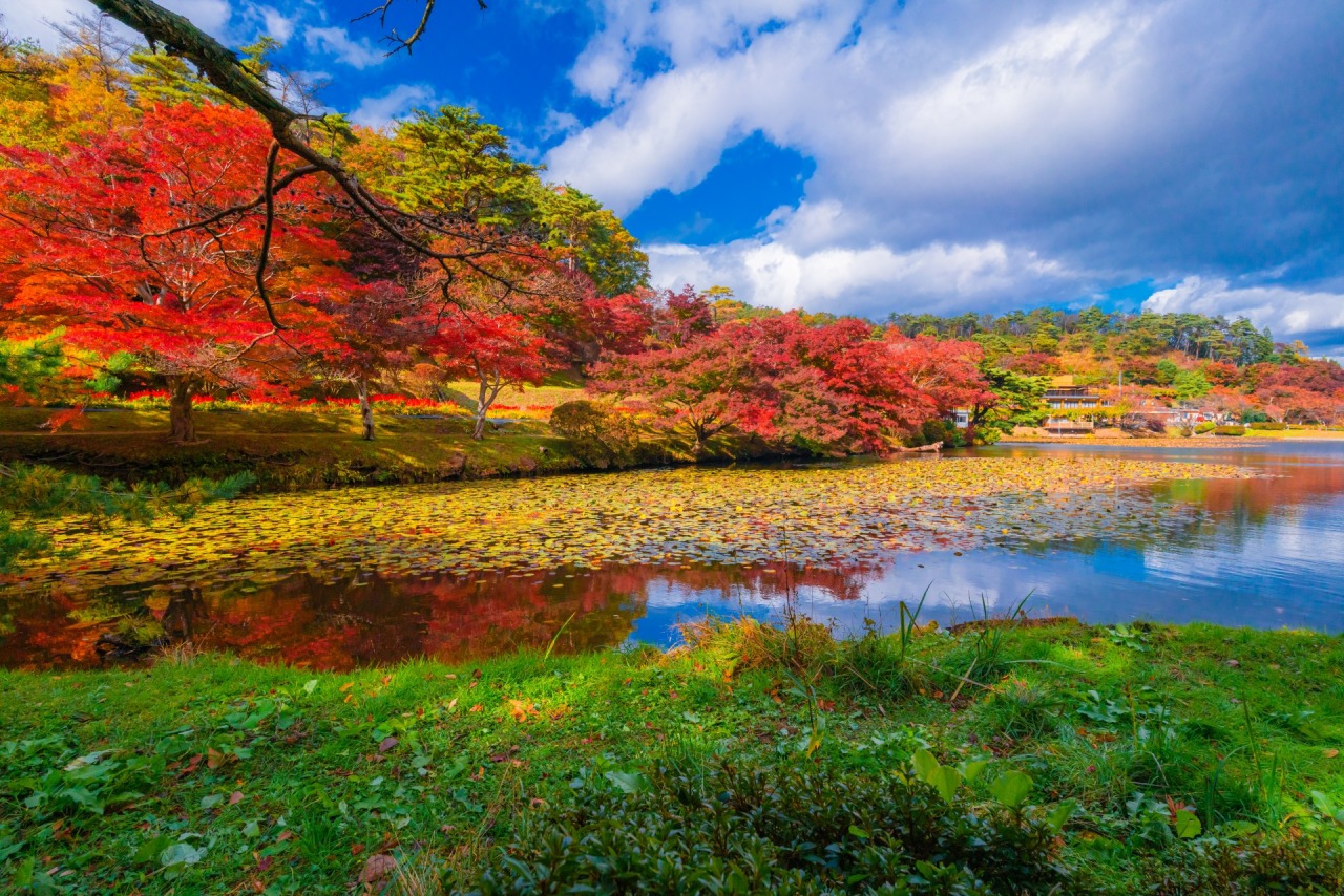福島県で「穴場観光地だと思う市町村」はどこ？　3つの自治体を紹介 | 福島県 ねとらぼリサーチ