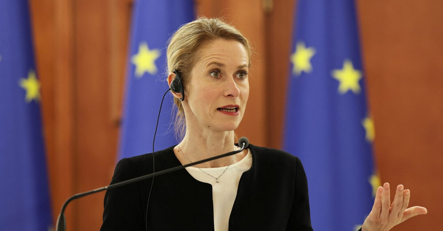 グリーンランド、将来の選択は外圧なしで行えるべき＝ＥＵ外相 | ロイター