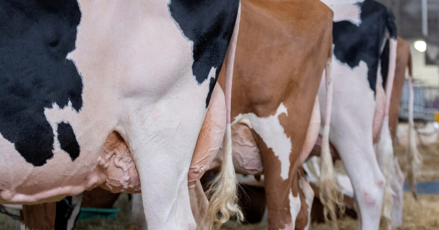 米農務省の職員が大量退職、鳥インフルエンザ対策に影響も | ロイター