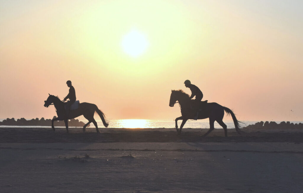 人馬一体、仕上がり上々 5月24～26日の福島・相馬野馬追に向け、砂浜で調整続く - 河北新報オンライン