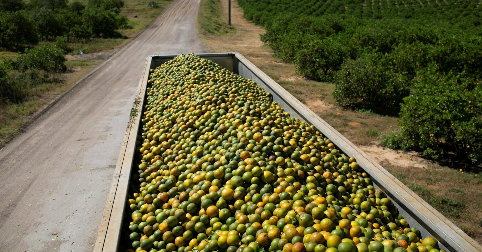 カナダが対米報復関税を検討 オレンジジュースや陶器など=国内紙 | ロイター カナダが対米報復関税を検討 オレンジジュースや陶器など=国内紙 | ロイター