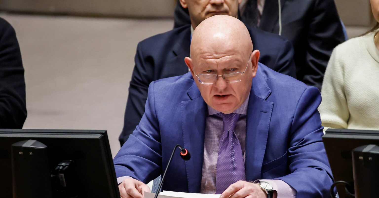 ロ国連大使「単なる停戦ではウクライナ戦争終結せず」、安保理で主張 | ロイター