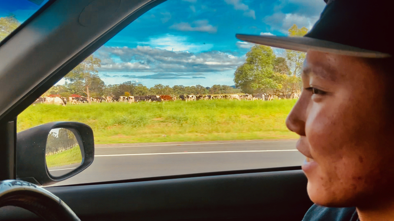 スクリーンショット 2025-05-09 11.00.48