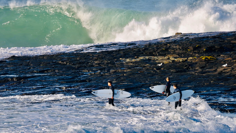 スクリーンショット 2025-05-30 5.34.16