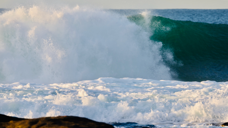 スクリーンショット 2025-05-27 15.08.29