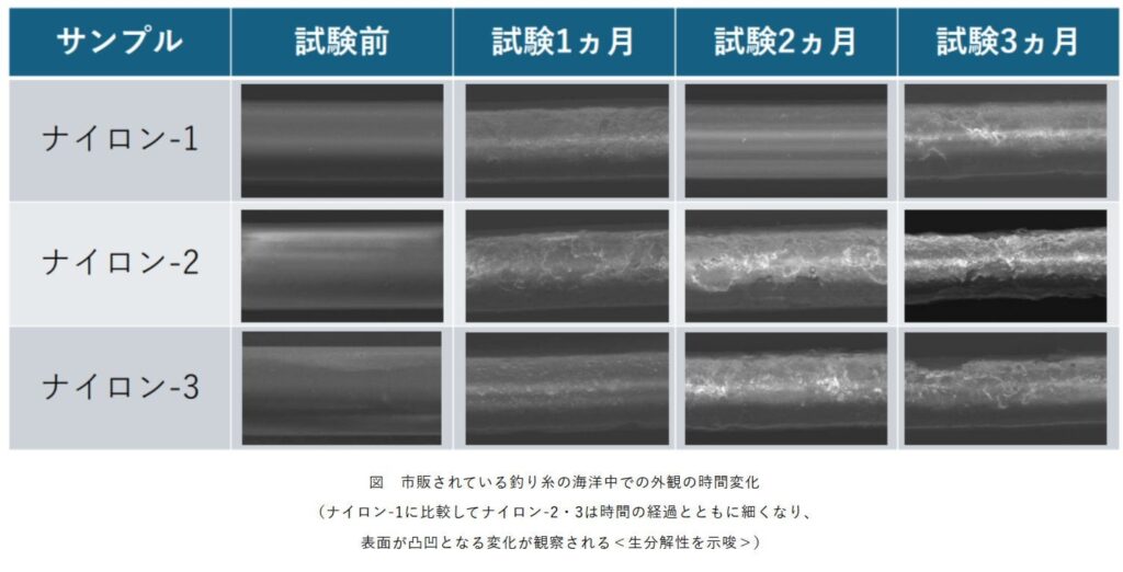 市販のナイロン釣り糸の一部は「海洋で生分解する」 NEDOなど発見、「常識を完全に覆す」