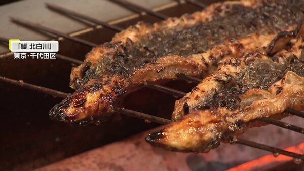 女性ホルモンと構造が似ている大豆イソフラボンを食べて9割がメス化！