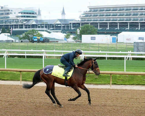 チャーチルダウンズ競馬場で調整するルクソールカフェ（C）Churchill Downs／Coady Media