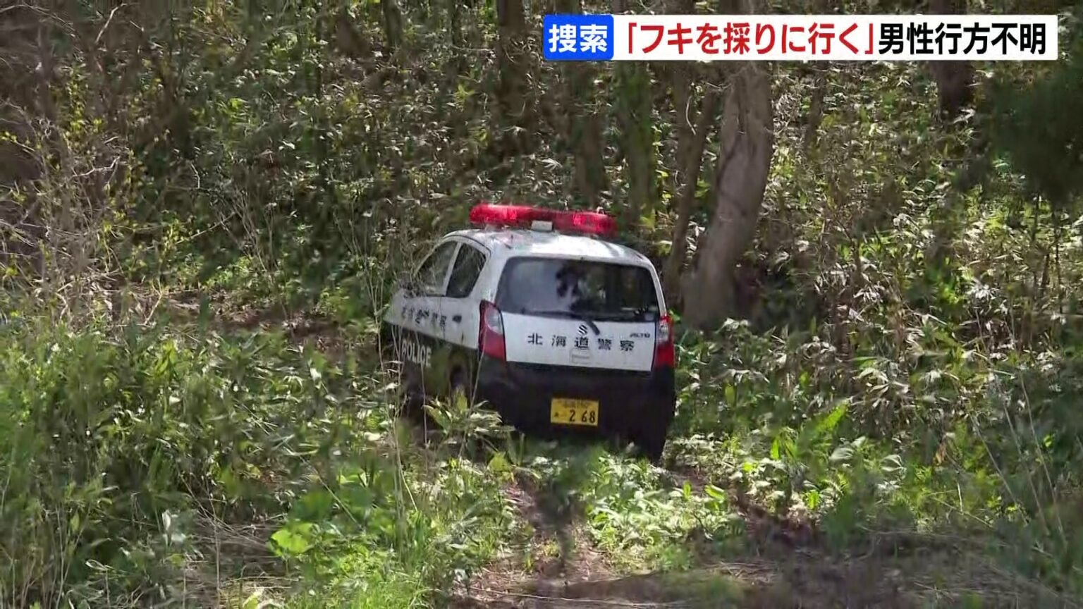 「身動きがとれない」と妻に電話後連絡取れず フキを採りに入山の78歳男性が行方不明 警察は男性の車を重点的に捜索 北海道厚沢部町（HBCニュース北海道） - Yahoo!ニュース