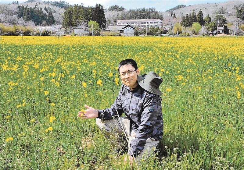 【震災・原発事故１４年】古里へ誘う黄色の波 福島県浪江町津島地区に菜の花畑 営農再開の促進期待（福島民報） - Yahoo!ニュース