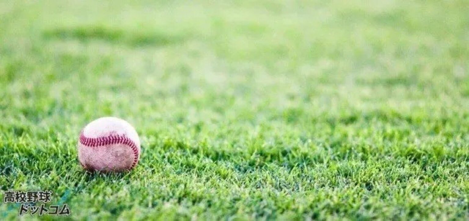 聖和学園、古川学園、石巻などが県大会出場へ！宮城地区予選【25年春高校野球】（高校野球ドットコム） - Yahoo!ニュース - Yahoo!ニュース