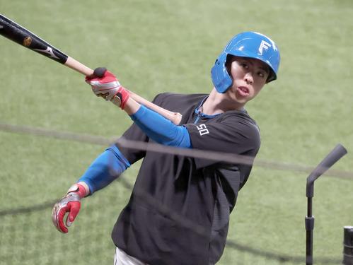 日本ハム対西武　打撃練習する五十幡（撮影・黒川智章）