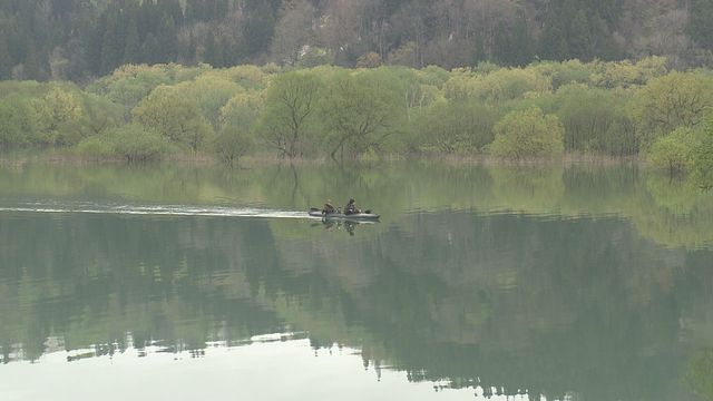 一年で今しか見られない光景…木が水のなかから生えているように見える「水没林」が見頃 山形・飯豊町（YBC山形放送） - Yahoo!ニュース - Yahoo!ニュース
