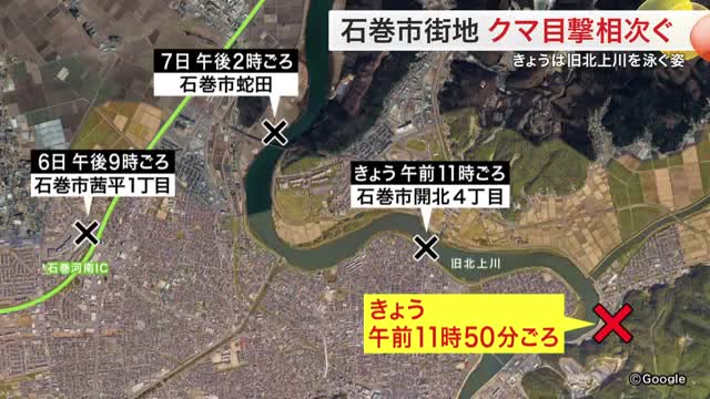 石巻市街地でクマ目撃相次ぐ 旧北上川を泳ぐ姿や大型商業施設近くの県道を横断する姿も〈宮城〉（仙台放送） - Yahoo!ニュース - Yahoo!ニュース