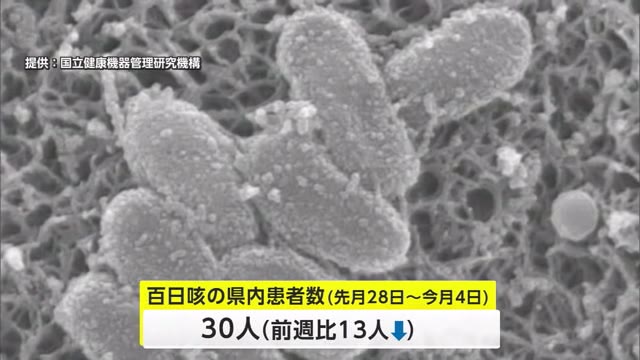 全国で感染拡大の「百日咳」 秋田県内の患者数は前週比13人減少（秋田テレビ） - Yahoo!ニュース