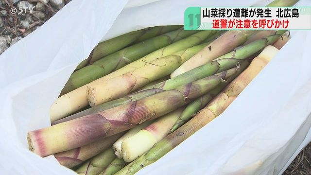 タケノコ採りで遭難発生 山菜採りシーズン…警察が注意呼びかけ 単独での入山を避ける 北海道（STVニュース北海道） - Yahoo!ニュース - Yahoo!ニュース