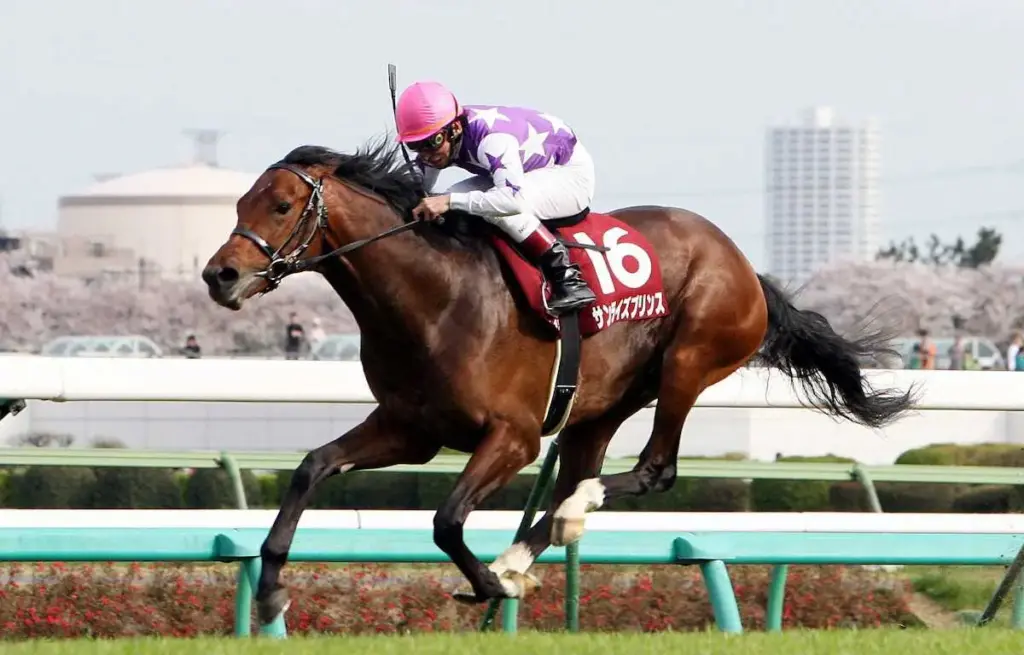 サンライズプリンス死す　18歳　10年にG2ニュージーランドT優勝 - スポニチ Sponichi Annex ギャンブル