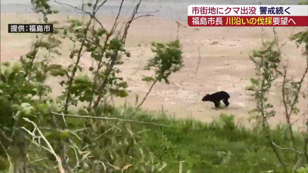 福島市の市街地にクマ出没 住民「出てこないことを祈るだけ」（KFB福島放送） - Yahoo!ニュース