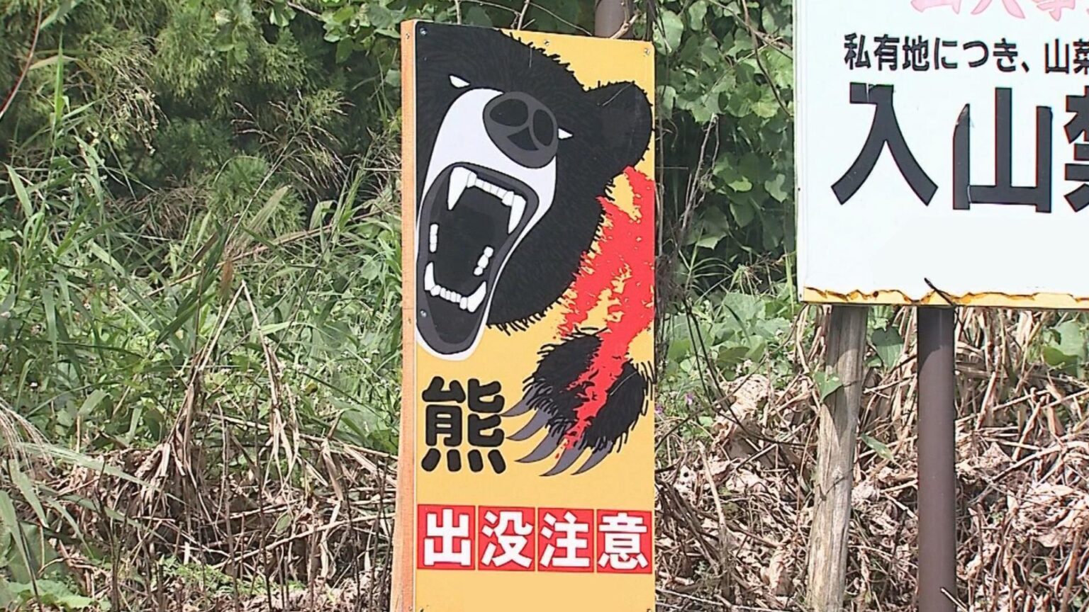 郡山市でクマに襲われ男性けが…会津と中通りにクマ出没特別警報（福島）（KFB福島放送） - Yahoo!ニュース - Yahoo!ニュース