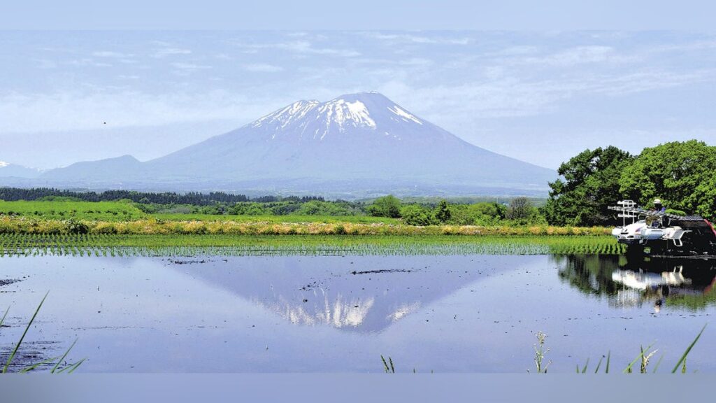 岩手：盛岡・門前寺で田植え始まる 残雪の岩手山映す水田：地域ニュース - 読売新聞オンライン