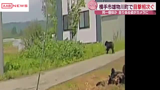 クマが道路を横切る姿がドラレコに 秋田・横手市雄物川町でクマ目撃相次ぐ 小学校の登下校時間に見回りも（秋田朝日放送） - Yahoo!ニュース - Yahoo!ニュース