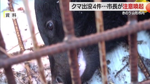 クマ目撃情報4〜5月11件 同日に4件・人が多い地域にも出没 県はクマ出没注意報発令・山形市長も注意喚起【山形発】（FNNプライムオンライン） - Yahoo!ニュース - Yahoo!ニュース