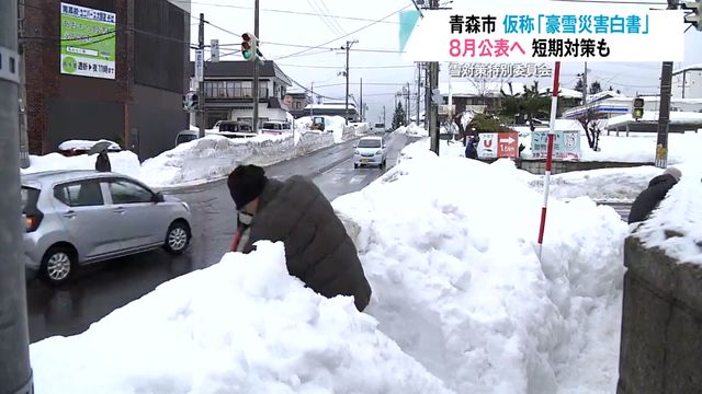 「各部局で思うところはあった」教訓生かす新しい“雪対策”ができるか？「豪雪災害白書」を8月下旬に公表へ！ 青森県青森市（青森放送） - Yahoo!ニュース - Yahoo!ニュース