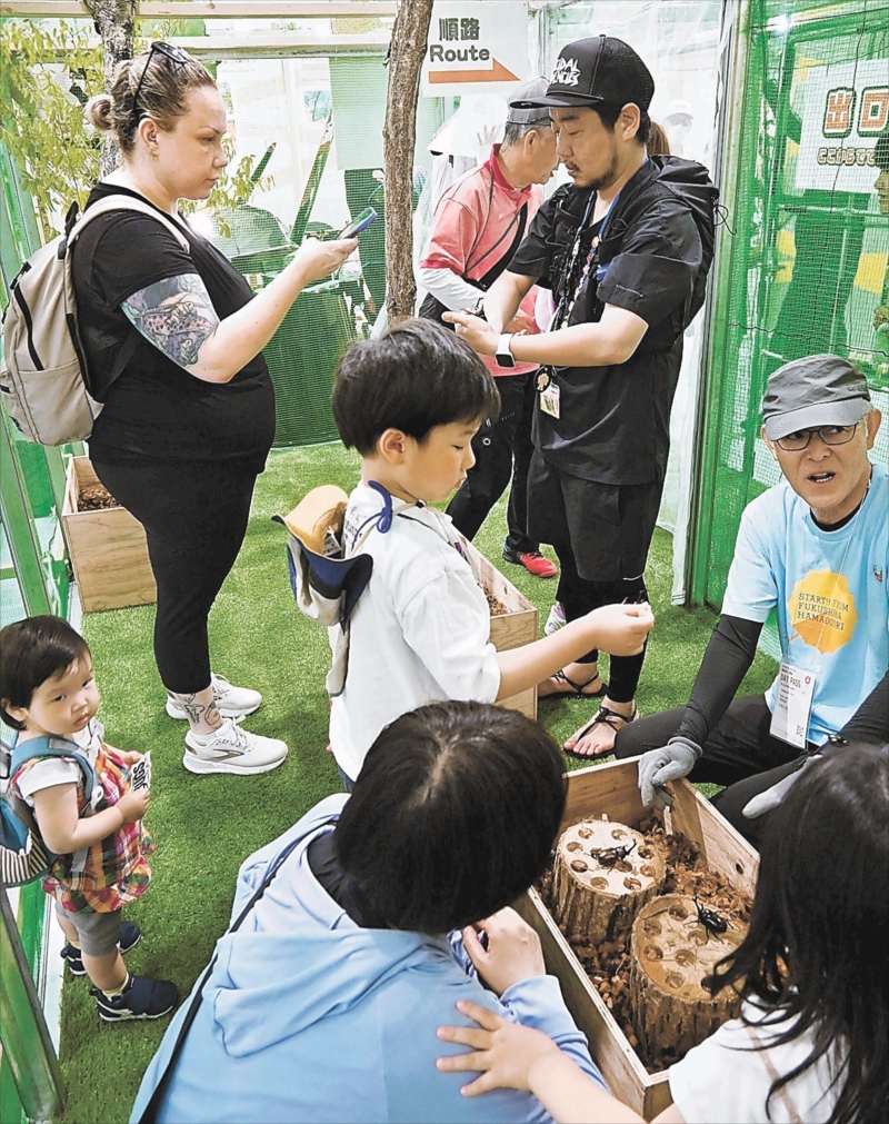 国内外から訪れた人でにぎわうミニカブトムシドーム