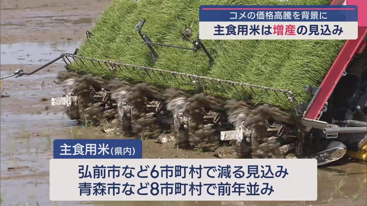 青森県内25市町村で「主食用米」増産の見込み コメの価格高騰背景（ABA青森朝日放送） - Yahoo!ニュース - Yahoo!ニュース