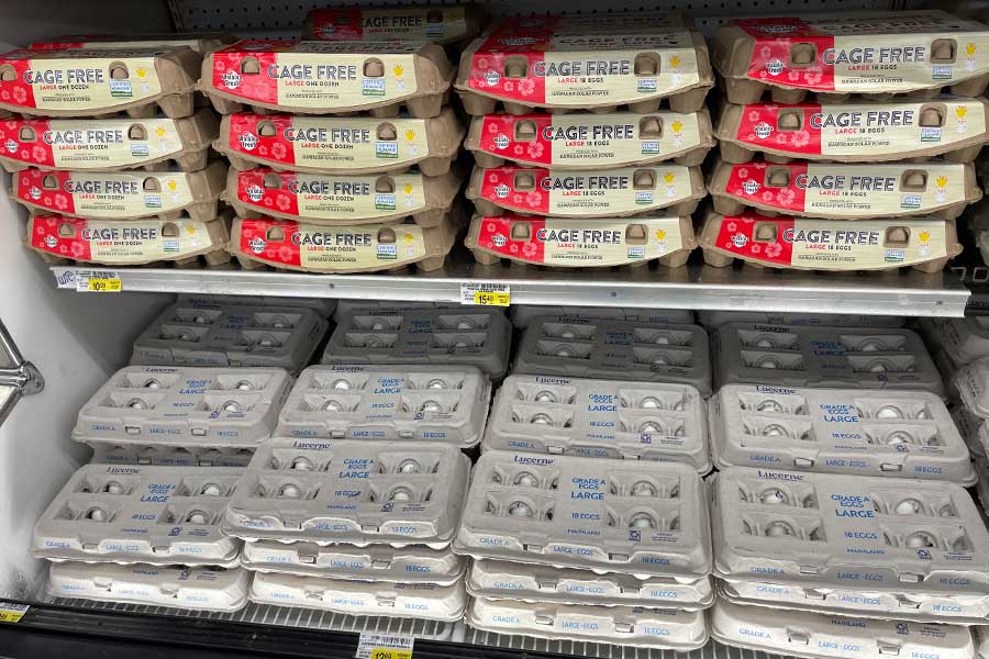 上段の赤いパッケージが「ハワイ産／ケージフリー」卵。下段がアメリカ本土から輸送された卵【写真：i-know】