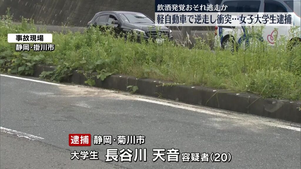 日本テレビ放送網